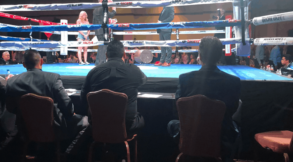 NAIOP Night of the Fights 2019